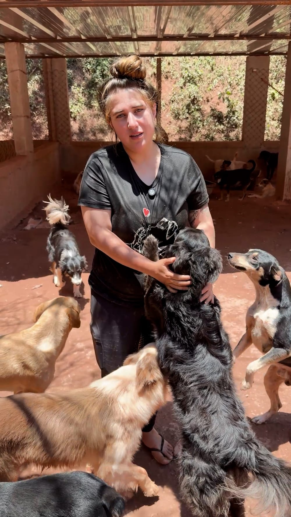 Voluntária do Resgaute cuidando de um cão resgatado